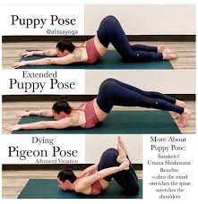 Puppy Pose Yoga Asana Puppyposeyogaasana Puppy Pose Ab Workout Challenge Strength Workout