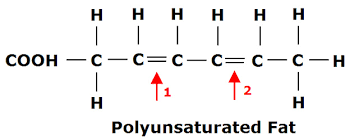 What Is The General Formula For Unsaturated Fatty Acids Socratic