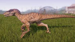 Velociraptor Jurassic World Evolution Wiki Fandom Jurassic World Jurassic World Evolution Jurassic Park World