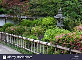 Stone Lantern And Bamboo Fence With Azalea Bushes In Landscape Japanese Garden Azalea Bushes Japanese Garden Design