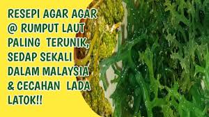 Dapatkan sekarang untuk kesihatan dan kecantikan anda sekeluarga insyaallah. Rumpai Laut Kering Anda Tidak Boleh Makan Sahaja Hidangan Utama 2021