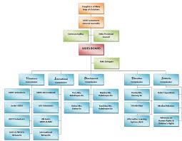 organizational chart vides philippines