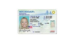 How long does it take to get an enhanced license? Michigan Officials Warn Of Impending Real Id Deadline Moody On The Market