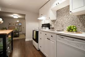 Open Concept Basement Apartment Income Property Hgtv Apartment Kitchen Basement Apartment Kitchen Renovation