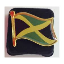 200+ vektoren, stockfotos und psd. Jamaica Flagge Stift Pin