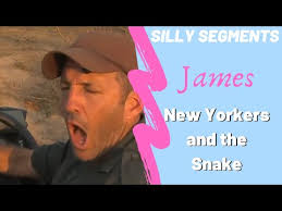 Safarilive Funny Moments