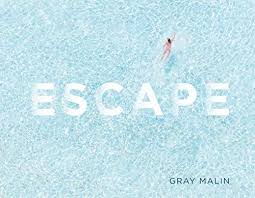 A photicular book combines the joys of watching a vivid nature documentary with a coffee table book. 20 Beautiful Beach Coffee Table Books Paulina On The Road