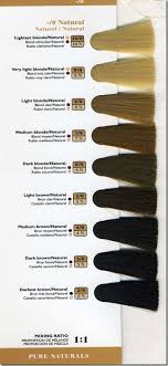 What Level Hair Color To Do You Have Level 1 Is Black And Level 10 Is Light Blond Hair Levels Hair Color Hair Chart