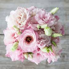 Browse our large selection of lisianthus seeds in colors from white and cream to. Flower Ideas For Valentine Day Regali Di Fiori