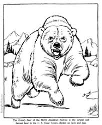 Zoo Animals Coloring Pages Zoo Animal Coloring Pages Bear Coloring Pages Zoo Coloring Pages