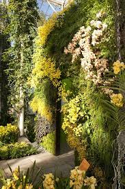 The Orchid Show Nybg Vertical Garden Vertical Green Wall Orchid Show