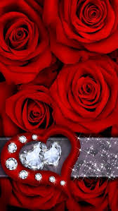 Red rose, white rose, orange rose, pink rose, yellow rose, all most beautiful wild and sweet rose from italy.fresh roses bouquets. Raindrops And Roses Evakiuraite ãƒãƒ©ã®å£ç´™ ãƒãƒ© èŠ± å£ç´™