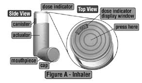 Image result for Inhaled Ciclesonide