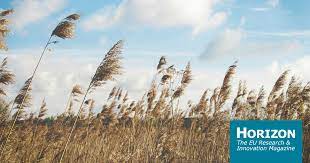 Wind meaning, definition, what is wind: The Stilling Global Wind Speeds Slowing Since 1960 Horizon The Eu Research Innovation Magazine European Commission