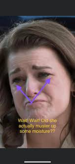 Golden Retriever Puppies' Attitudes and Behaviors