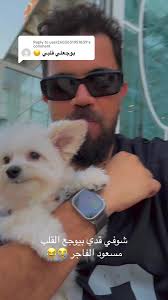 مشهد الكلب المحزن في الشارع