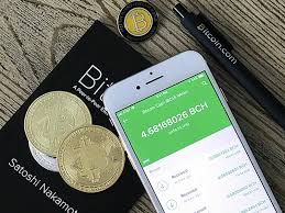 Bitcoin wallet app is a software that stores open and closed keys and interacts with different blockchains to allows users to send and receive digital currency easily. How To Start Accepting Bitcoin As A Payment Method In Businesses The European Business Review
