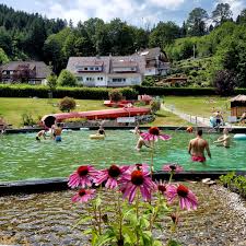 Baignade Dans La Piscine Naturelle D Ottenhofen Cotad