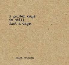 No Matter What Colour You Paint It Or How You Decorate It A Cage Is Still A Cage Saoirse Quill Quotable Quotes Inspirational Quotes Quotes