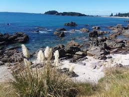 mt mounganui in tauranga nz
