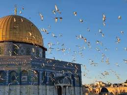 بنك القدس يتبرع بأجهزة توليد أوكسجين لصالح بلدية العيزرية. Ø®Ø·ÙŠØ¨ Ø§Ù„Ø£Ù‚ØµÙ‰ Ø§Ù„Ø§Ø­ØªÙ„Ø§Ù„ ÙŠØ³ØªØºÙ„ ÙƒÙˆØ±ÙˆÙ†Ø§ Ù„ØªØ±Ø³ÙŠØ® ØªÙ‡ÙˆÙŠØ¯ Ø§Ù„Ù‚Ø¯Ø³ ÙˆÙƒØ§Ù„Ø© Ø´Ù‡Ø§Ø¨ Ù„Ù„Ø£Ù†Ø¨Ø§Ø¡ Ø£Ø®Ø¨Ø§Ø± ÙÙ„Ø³Ø·ÙŠÙ†