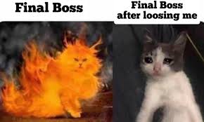 Sad Fate Of Final Bosses Memes