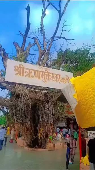 Rinmukteshwar Mahadev Mandir Ujjain (M.P)🙏🏻 #ujjain #reels #explorepage  #ujjainkerajamahakal #instagram