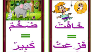 pin on learn arabic alphabet