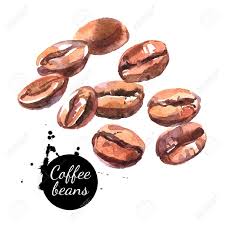 The body can produce enzymes during digestion that degrades some lectins. Immagini Stock Fagioli Di Caffe Disegnati A Mano Acquerello Illustrazione Di Cibo Naturale Isolato Su Sfondo Bianco Image 73832767