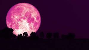 When is the next full moon? Fl2ivnnfm8xxym