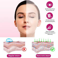 Ruzixt 2023 Nano Ionic Facial Steamer Hot Mist Face Steamer Home Sauna SPA  Face Humidifier Extract Blackheads Aromatherapy Essential Oil Moisturizing  Spray Machine with Hair Band : Amazon.ae: Beauty
