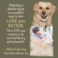 Dogs, for a reason that can only be described as divine, have the ability to forgive, let go of the past, and live each day joyously. Shelter Dog Quotes Quotesgram