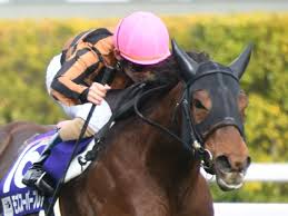 2020 shindanmaker all rights reserved. é«˜æ¾å®®è¨˜å¿µãƒ¬ãƒ¼ã‚¹å¾Œã‚³ãƒ¡ãƒ³ãƒˆ ãƒ¢ã‚ºã‚¹ãƒ¼ãƒ'ãƒ¼ãƒ•ãƒ¬ã‚¢æ¾è‹¥é¢¨é¦¬é¨Žæ‰‹ã‚‰ ç«¶é¦¬ãƒ‹ãƒ¥ãƒ¼ã‚¹ Netkeiba Com