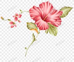 download gambar bunga raya clipart vina gambar download gambar bunga raya clipart