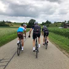 Pin Auf Pedalabile Roger