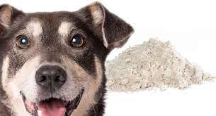 Essential pest control is a source for commercial pest control, pest control tucson, and pest control services. Diatomaceous Earth For Dogs Is It A Safe Remedy For Fleas Or Worms