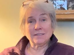 Evanston Preservation League President Weighs In On Mayoral Race