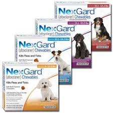 Nexgard flea and tick treatment for large dogs (6 pack). Nexgard Chewables Productreview Com Au