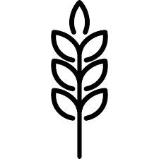 Download Ear Of Wheat Free Food Icons