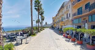 Image result for Milicia