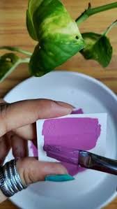 Erwin Khan (talonlordnobel1)