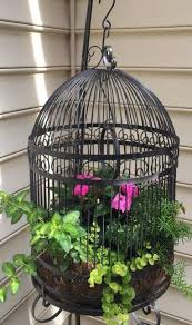 Bird Cages For Sale Near Me 24 Ideas Bird Cage Painting Flower Hanging Bird Cage Bird Cage Decor Birdcage Planter