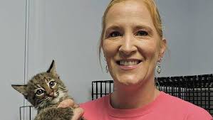 Bobcat kitten at Sarge's