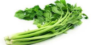 Check spelling or type a new query. 6 Manfaat Seledri Untuk Rambut Mampu Redakan Ketombe Merdeka Com