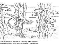 Select from 35970 printable coloring pages of cartoons, animals, nature, bible and many more. Https Www Montereybayaquarium Org Globalassets Mba Pdf Education Activities Coloring Pages Aquarium Coloring Page Kelp Forest Friends Pdf