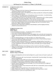 Find more examples and cv templates to download for free. Marketing Executive Resume Samples Velvet Jobs