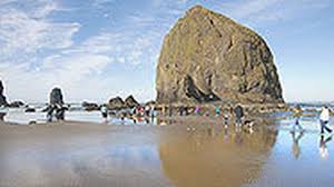 See 20,056 tripadvisor traveler reviews of 48 cannon beach restaurants and search by cuisine, price, location, and more. Oregon S Cannon Beach Storms Sun And Offseason Deals Orlando Sentinel