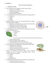 Protein yang ada di permukaan luar dan dalam disebut. Perhatikan Gambar Anatomi Akar Disamping Berdasarkan Gambar Fungsi Dari Struktur X Adalah Berbagai Struktur