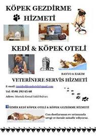 Izmir Kedi Kopek Oteli Kopek Gezdirme Hizmeti Ana Sayfa Facebook