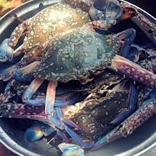 You'll want to cook the crabs before you clean them. How To Clean Crab The Take It Easy Chef